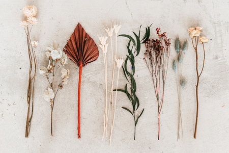 Colorpalet Botanical
