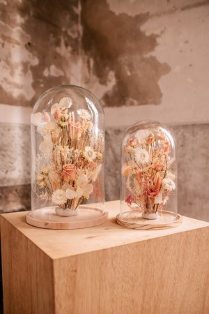 Glazen stolp 40cm, div. kleuropties