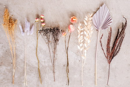 Colorpalet Boho vibes
