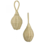 Rotan rammelaar